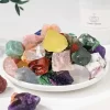 Natural Mixed Raw Stone Crystal Chunks Assorted Quartz Rough Healing Crystals Therapy Chakra Meditation Gemstone Garden Decorate